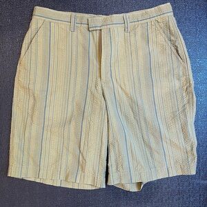 Patagonia Men’s Shorts 33